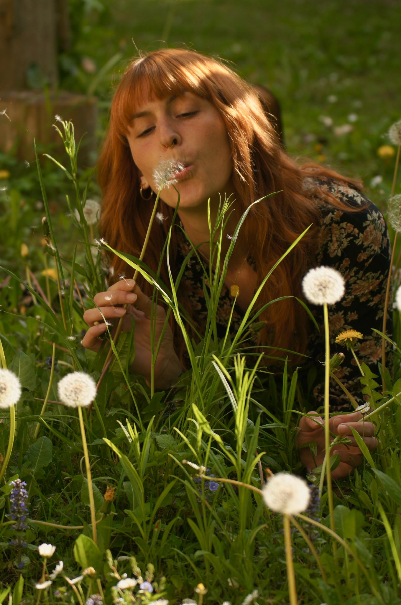 Christina in der Wildblumenwiese in Leupoldstein